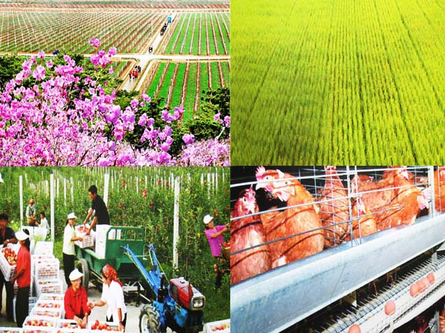 Sukchon Agricultural Development Zone