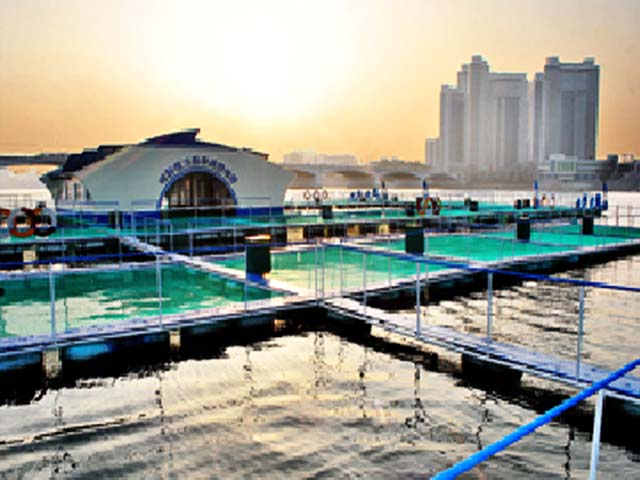 The reconstruction and modernization of Chongjin fishing Net Factory