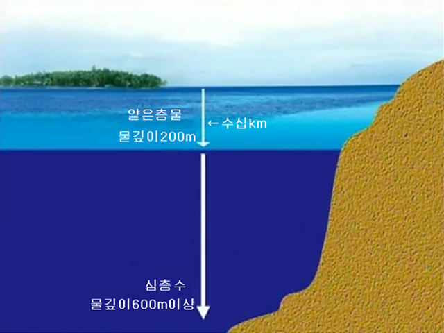 조선민주주의인민공화국에서의 해양심층수개발리용과 경제합작