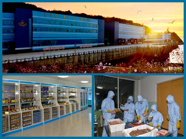 Kumsanpho Fish Pickling Factory