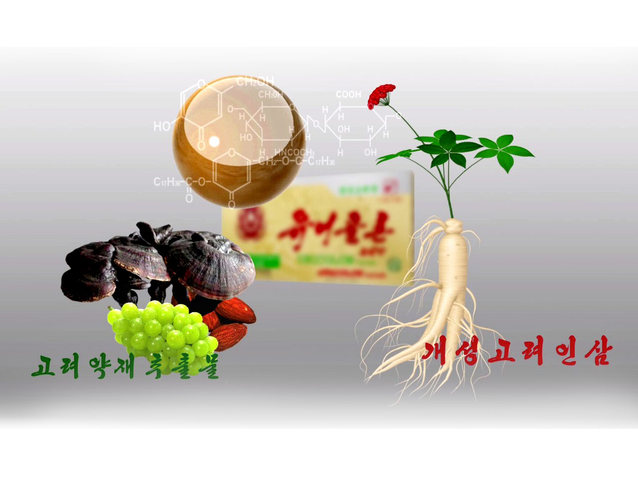 Chongchun Pharmaceutical Factory