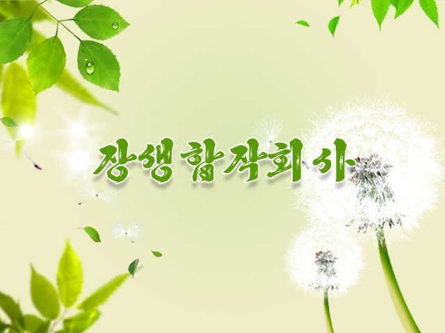Jangsaeng Contractual Joint Venture Company