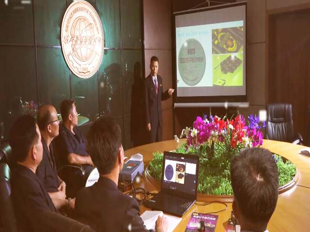 Mirae Trading Company