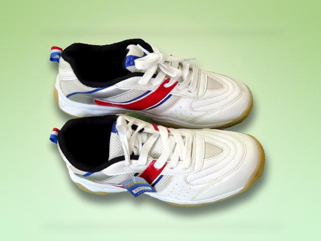 Volleyball Shoes