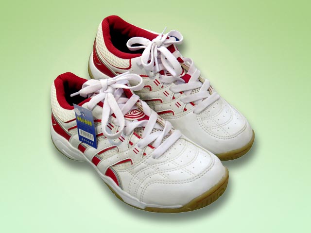 Volleyball Shoes
