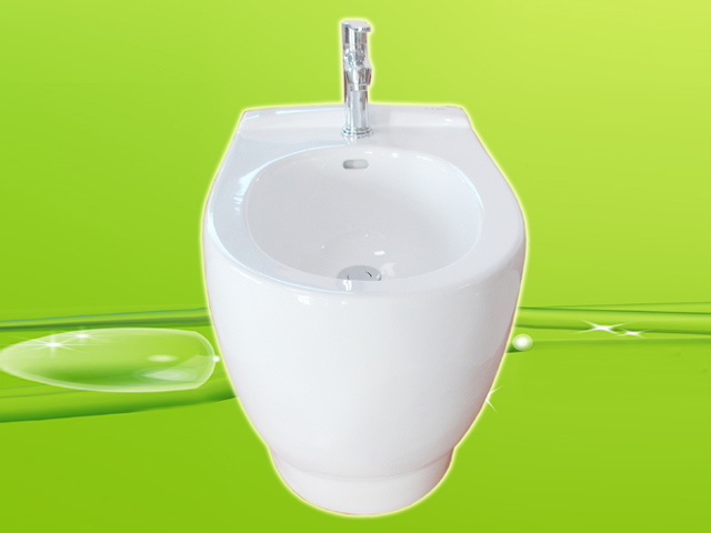 Sanitary Basin