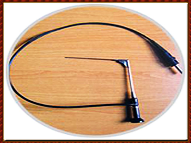  Lacrymal gland scope