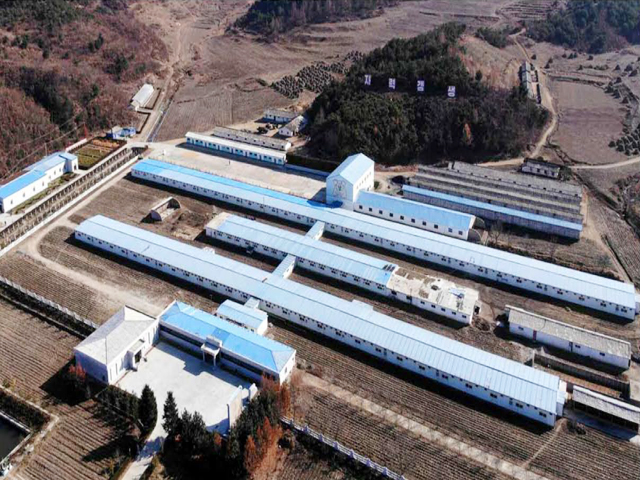 Реконструирована и модернизована свиноводческая завод провинции северный Пхеньан 